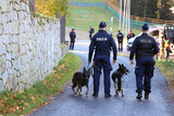 Fototapeta Zwierzęta - Policjant przewodnik psa podczas pościgu za przestępcą. 