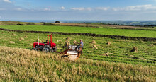 Vintage Tractor And Binder Combine Harvester Cutting And Stacking Corn Straw On A Farm In Northern Ireland