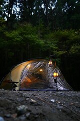Wall Mural - tent in the forest