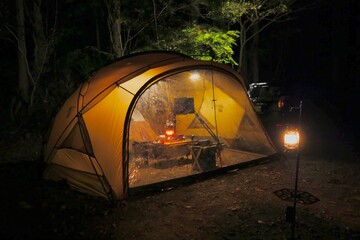 Wall Mural - camping at night