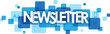 NEWSLETTER typography banner with blue squares on transparent background