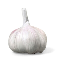 Poster - Garlic set isolated on white background