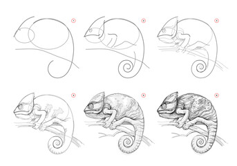 Wall Mural - page shows how to learn to draw sketch of chameleon. creation step by step pencil drawing. education