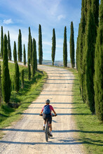 Nice Senior Woman Riding Her Electric Mountain Bike In A Cypress Avenue In The Chianti Area Near Pienza, Tuscany , Italy