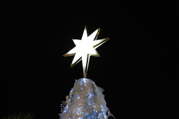 Wall Mural - north star on light white christmas tree in dark black background 