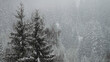 canvas print picture - Schneegestöber in den Bergen