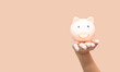 business woman hand hold piggy bank and putting coin with yellow concrete wall for financial and saving money concept with pink concrete background and blank copy space.