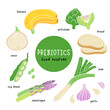 © tanyabosyk - Prebiotic products, sources of these bacteria, nutrient rich food. Flat vector illustration of soy beans asparagus onion banana garlic artichoke