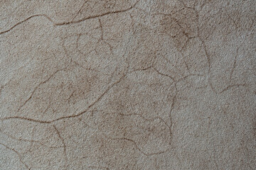Wall Mural - Beige fur wool abstract pattern nature skin soft warm fluffy for background and texture, closeup, top view