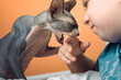 © Cavan Images - Domestic cat bites a little girl