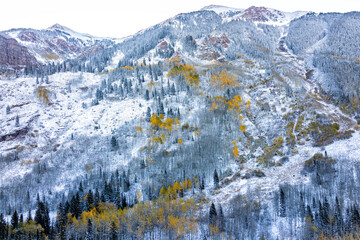 Wall Mural - Maroon Bells Rocky Mountain ridge morning in fall autumn yellow foliage on trees with winter snow in Aspen, Colorado