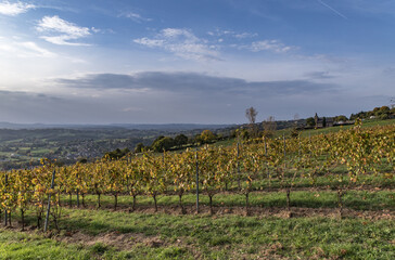 Sticker - Allassac (Corrèze, France) - Vue automnale du vignoble de la Chartoulle dominant la vallée de la Vézère