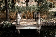 Old Small Wooden Pier On The Background Of Trees And Plants
