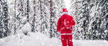 Santa Clause Walking Through The Snowy Forest In Snowfall.