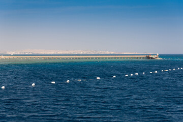 Wall Mural - Egypt. Red sea day