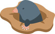 Soil mole icon isometric vector. Hole animal. Ground character
