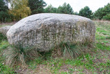Fototapeta Kamienie - Duży, szary kamień na łące