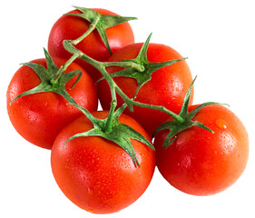 Branch of a red tomato without background