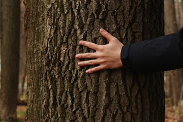 Young man hand and tree trunk in the forest. Pavel, my left hand and tree trunk. Photo was taken 30 October 2022 year, MSK time in Russia.