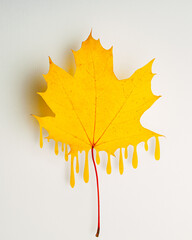 Wall Mural - Yellow maple leaf with dripping paint effect on a light background. Autumn symbol