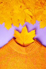 Wall Mural - Autumn concept, flat lay - brown knitted sweater and yellow autumn maple leaves on lilac paper, close-up