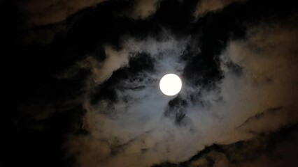 Wall Mural - Full Moon on a cloudy night. Light clouds are flying in the night sky. Taken with a telephoto lens