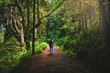 © Michael - Beautiful woman walking through idyllic beautiful forest in the afternoon. Levada of Caldeirão Verde, Madeira Island, Portugal, Europe.
