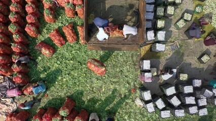 Wall Mural - Vegetable wholesale market in Bangladesh
