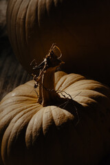 Canvas Print - Earthy color of pumpkins in shadows for thanksgiving holiday fall season vertical view.