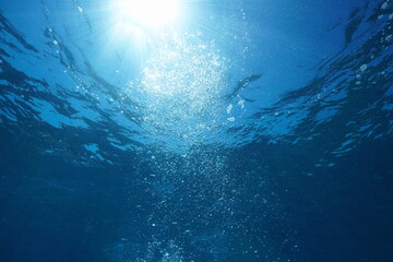 Wall Mural - Sunlight with bubbles underwater rising to water surface, natural scene, Pacific ocean