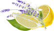 Composition of lavender and juicy lemon. For wedding invitation, birthday, bridal shower, cards