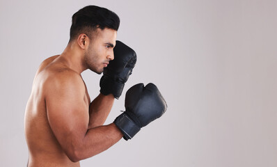 Sticker - Training, young man and boxer with boxing gloves for competition, prepare for match and focus with grey studio background profile. Sportsman, Indian male and fighter at game, being healthy in workout