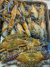 Macrobrachium Rosenbergii, Giant River Prawn Or Giant Freshwater Prawn. Large Shrimps With Blue Legs. Chesapeake Blue Crab Or The Atlantic Blue Crab. Seafood Market. Fish Restaurant. Marinуe Reptiles