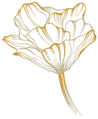 Poster - Hand drawn illustration object of blooming flowers.