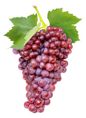 Wall Mural - bunch of red grape with leaves isolated on white background, sweet red grape on a branch on white pn