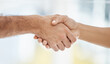 © Talia M/peopleimages.com - Businessman, woman and handshake in teamwork collaboration, b2b partnership or sales deal success in office. Zoom, workers or employees in thank you, welcome or company agreement gesture for support