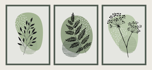 Wall Mural - Set of three botanical illustrations in minimalist style and green colors for poster, t-shirt print, cover, banner. Printable herbs. Scandinavian style.