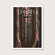 Sequoia National Park Poster Vector Illustration Design, Forest Poster Design