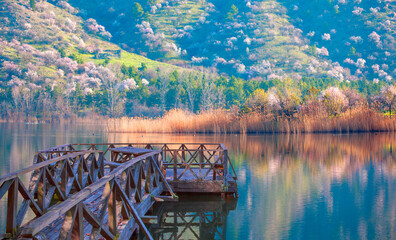 Poster - Beautiful serene reed in the sunlight with old wooden pier - Eymir Lake , Ankara, Turkey