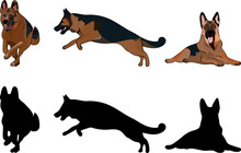 German Shepherd Silhouettes. Jumping 
German Shepherd. Cute Alsatian Dogs Characters In Various Poses, Design For Print, Cute Cartoon Vector Set, In Different Poses. One Color Design. Big Large Dog.
