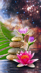 Wall Mural - Flower of the sacred lotus as a symbol in Asian art and religion