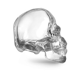 Poster - Crystal skull on white