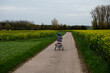 Active 40 yo woman with the Down Syndrome driving her tricycle through the fields of Tienen, Belgium