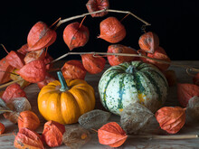 Home-grown Pumpkins And Chinese Lantern (Physalis Alkekengi). 