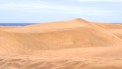  Gran Canaria Dunes