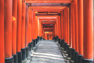 Wall Mural - 10 April 2012 famous for its thousands of vermilion torii gates.