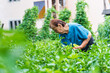 © Dusan - A grandma is harvesting vegetables in her garden during the day