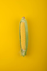 Wall Mural - Ripe corn on yellow background.