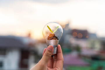 Wall Mural - A small tree growing on a silver coin and energy-saving light bulbs, an energy-saving concept and an environmentally