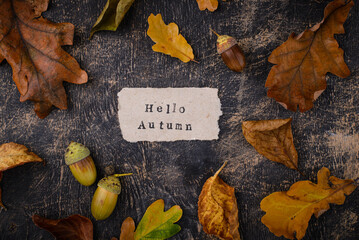 Wall Mural - Autumn background with dry leaves.